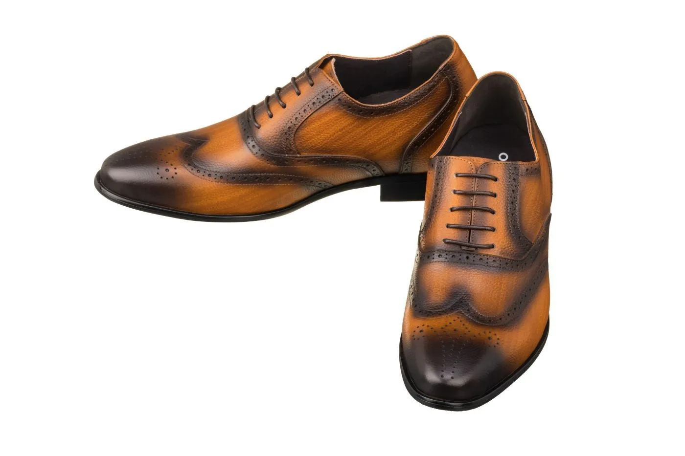 CALTO - K20813 - 2.8 Inches Taller (Brown)