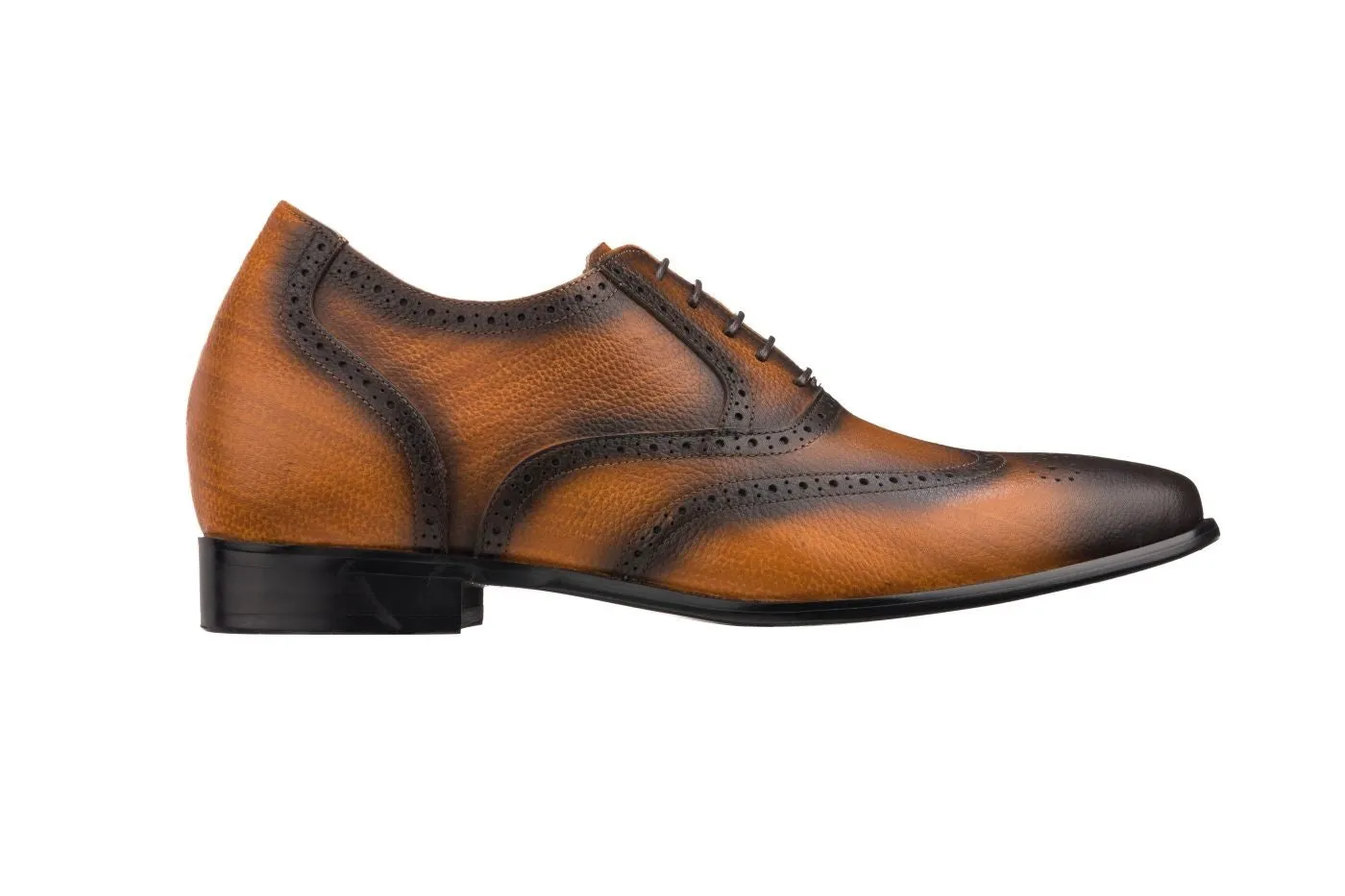 CALTO - K20813 - 2.8 Inches Taller (Brown)