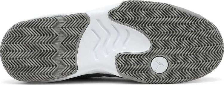 Jordan Max Aura 2 Medium Gray Sneakers